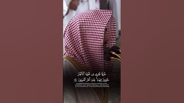 تلاوة جميلة للشيخ عبدالله القرافي #اكسبلور #قرآن #تيك_توك #اكسبلورر #تلاوة_خاشعة