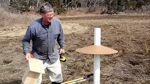 Tree Swallow Box installation