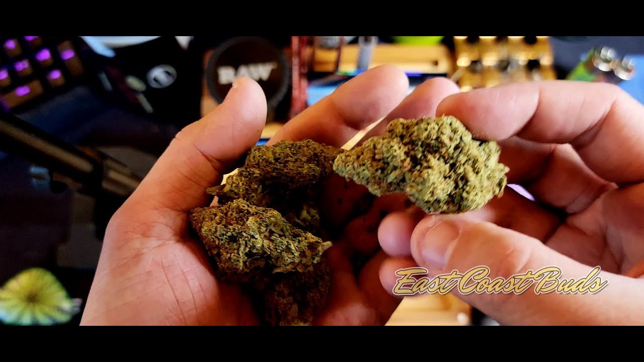 🧙‍♂️👽🍪  MAC MAC1 Miracle alien cookies X Columbian X Starfighter hybrid cannabis review