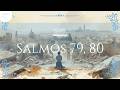 MV 365 Nuevo Testamento y Salmos | Salmos 79, 80 | Mayo 17