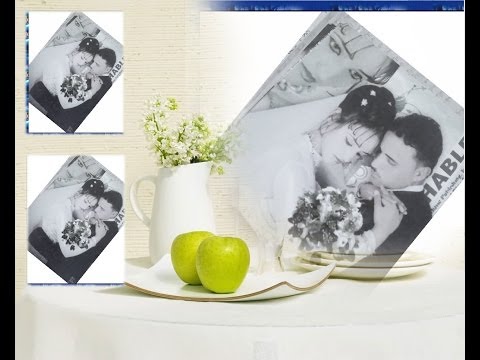 فرح شيماء منتصر 