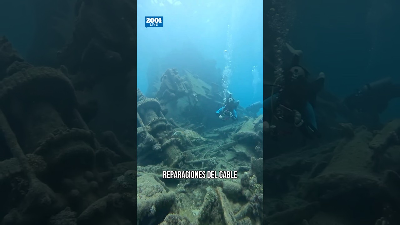 Restituyen conectividad al 100%: culminan reparaciones del cable submarino Cirion