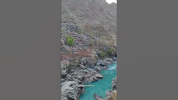 Thumbnail of Apricot Blossom in Aryan Valley 🌼 #shorts #ladakhtourism #floweringtrees