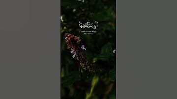 خلق الله| سورة الأنبياء