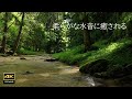 4K + 自然環境音 柔らかな水音を聴きながらリラックスする 鳥の鳴き声 河鹿ガエル 寿老の滝から流れる柔らかな水音