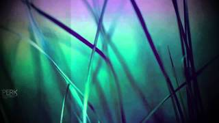 Lucidity - Stars