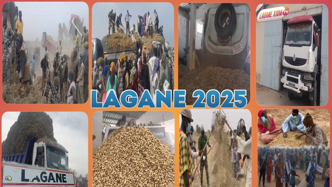 mbathioum gerte daaray lagane keur serigne saliou Mbackè édition 2025