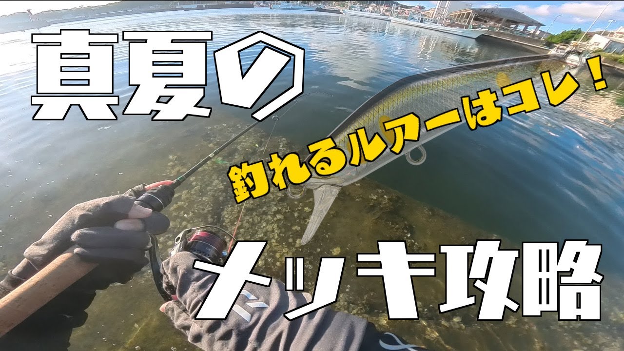 メッキが釣れるルアーはコレ！夏のメッキ攻略 前編