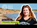 Fossil Discovery and Analysis