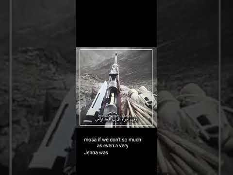 فيهم اسد حماه ماهوب ينداس 