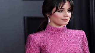 Camila Cabello Splits from Relationship Coach Matthew Hussey After More Than 1 Year Together