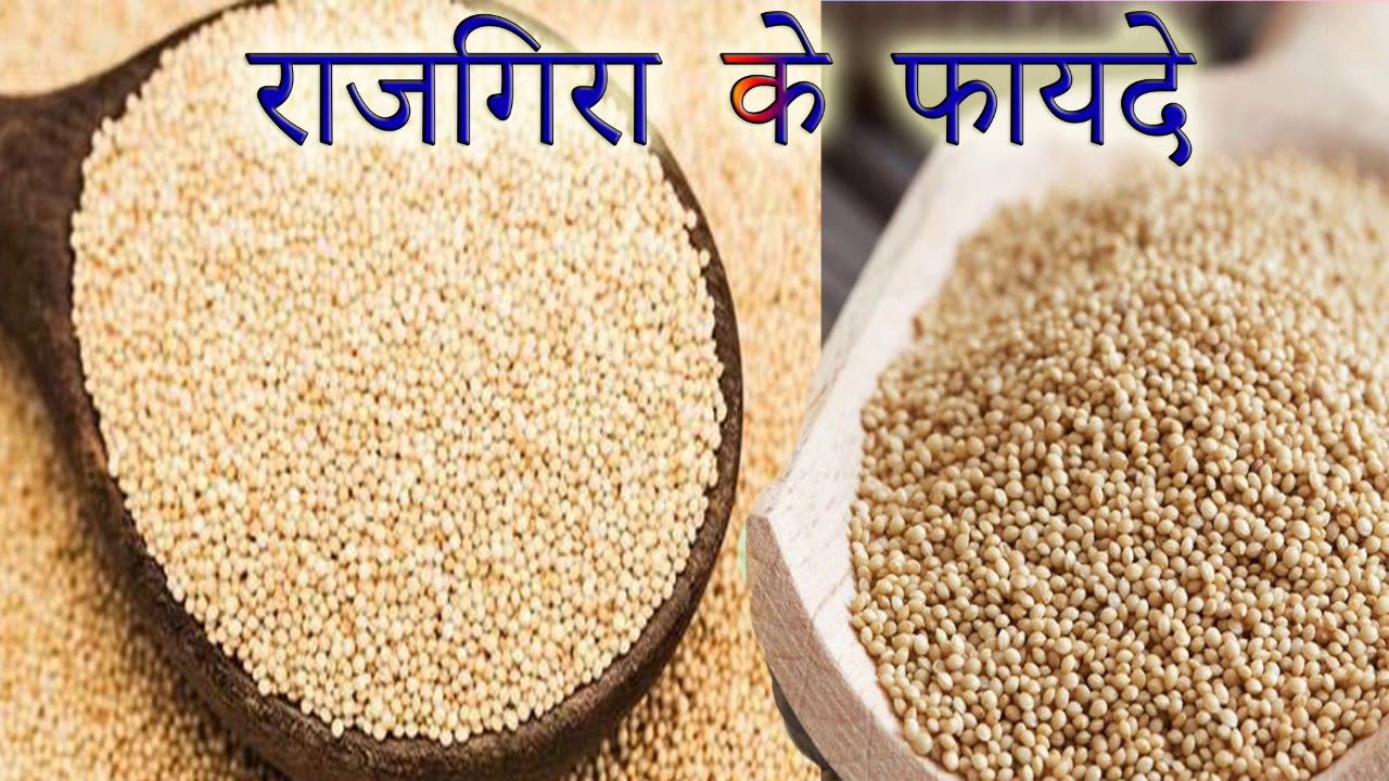 क्या है राजगिरा जब जानोगे इसके फायदों के बारे में तो दंग रह जाओगे/amaranth grain benefits