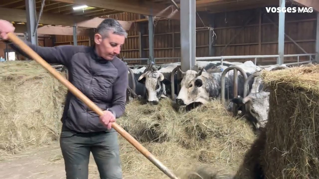 De l’uniforme à l’élevage : Fanny et Bruno ouvrent la Ferme du Dahu Barbu