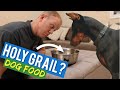 The Best Food I've EVER Fed My Doberman (Ollie Food)