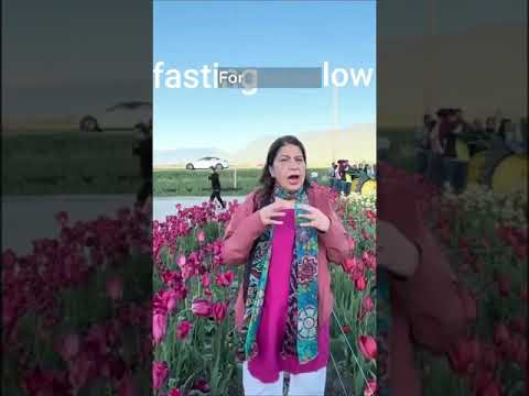 low carb intermittent fasting