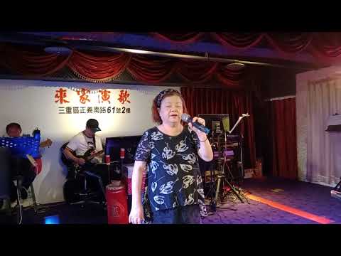 來家演歌來賓鑾姐演唱（惜別的海岸）