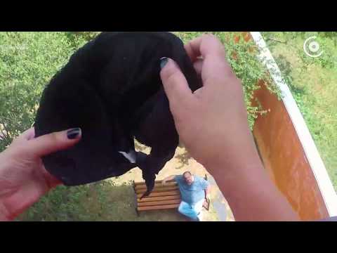 მზიას ეზო - დაკარგული სანთებელა #POSTV