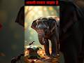 हाथी और चींटी की अनोखी कहानी | Hindi Moral Story | Jungle Kahani |toon buzz yt #motivational