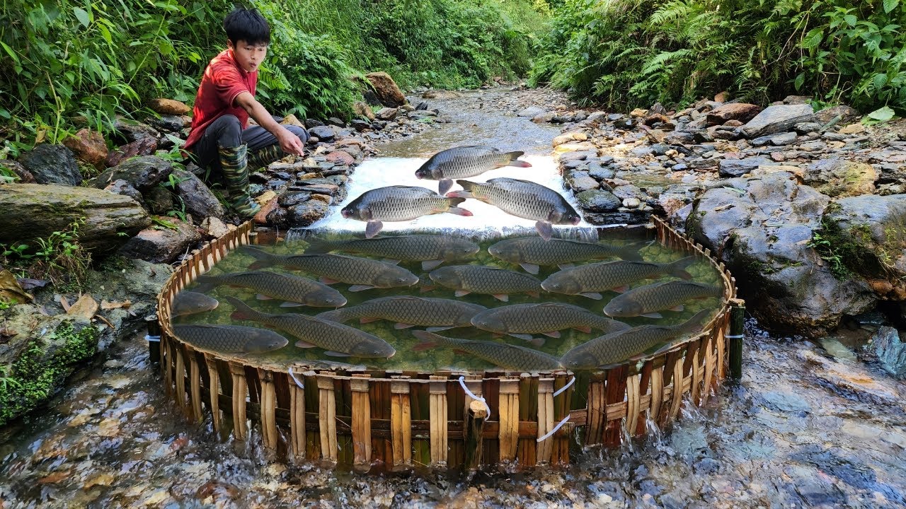 The boy used bamboo to make a trap to catch fish in the stream. and ...