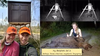 VX Hunting: Ny åtelplats del 2 - åtelkoja, första vildsvinet, majsbomb, föryngring