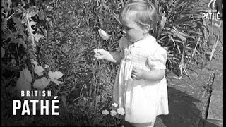 Prince William At Home (1943)