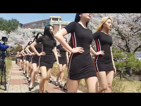 즐거운 벚꽃워킹~