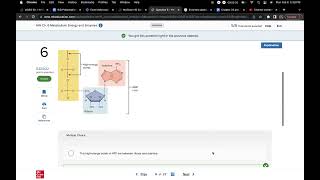 HW Ch 6 Metabolism: Energy and Enzymes McGraw Hill