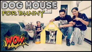 We Made Dog House for Bunny | Harpreet SDC