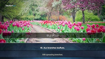 Sourate Ar Rahman - Salah Mussaly سورة الرحمن صلاح مصلي
