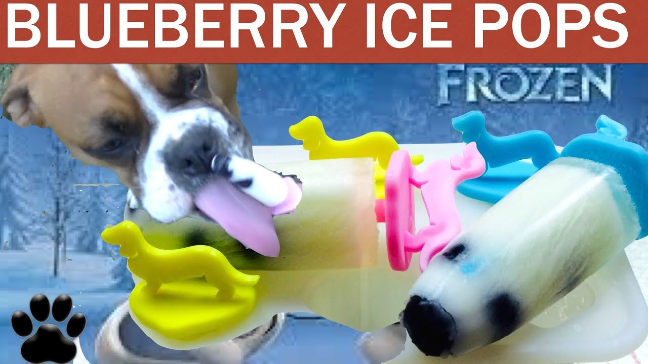 dog ice lollies homemade
