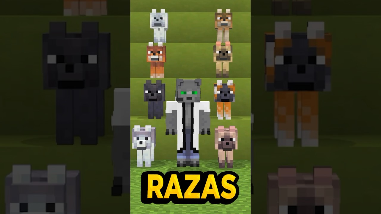 Los Nuevos LOBOS en la VIDA REAL #minecraft