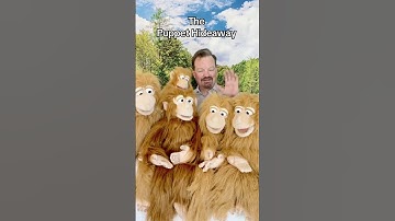 Puppet of the Day – Small Monkey (14”) made by Silly Puppets – The Puppet Hideaway with Eric Thomsen