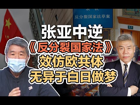 司马南：张亚中逆《反分裂国家法》，效仿欧共体无异于白日做梦