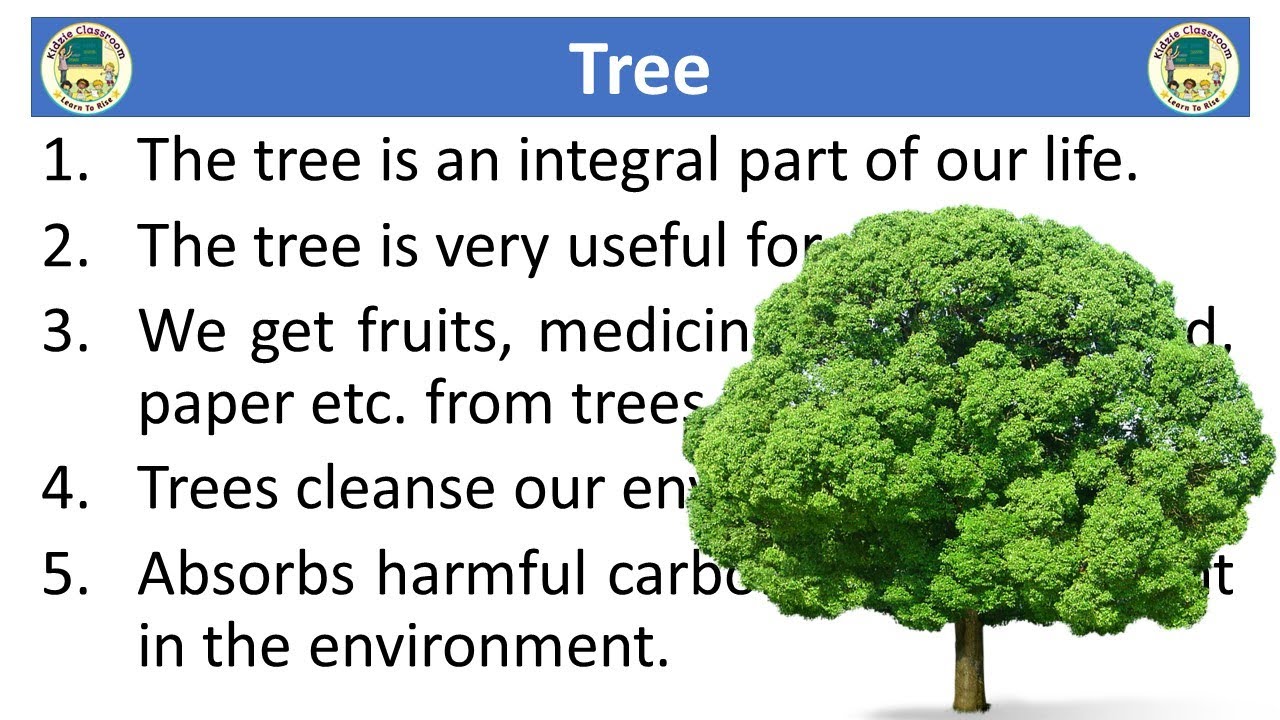 description essay on tree