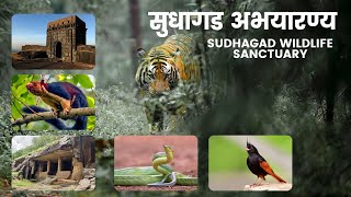 सुधागड वन्यजीव अभयारण्य | Sudhagad Wildlife Sanctuary