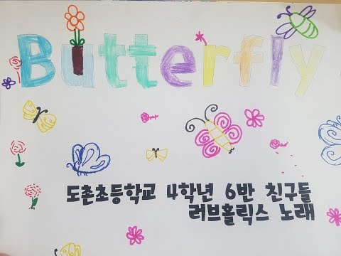 butterfly-러브홀릭스