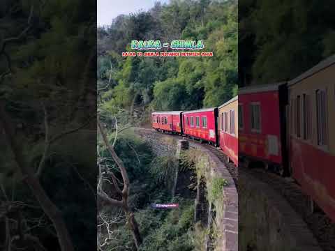 Video: 5 Scenic Mountain Railway Toy Trains u Indiji