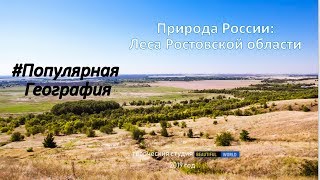 Природа России: Леса Ростовской области #ПопулярнаяГеография