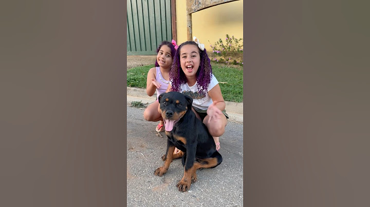 DEVO ADOTAR ESSE CACHORRINHO?