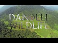 DANDELI WILDLIFE