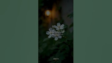 تلاوة هادئة تأخذك إلى عالم من الهدوء والسكينة بصوت الشيخ عبدالرحمن مسعد ♡ #عبدالرحمن_مسعد #قرآن 