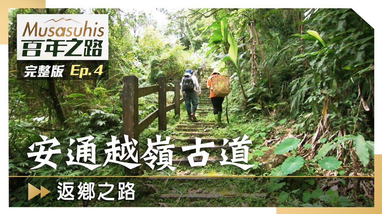 #Musasuhis百年之路【安通越嶺古道-返鄉之路】EP4