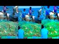 ஆழ்கடலுக்குள் சென்று ப்ளூ கிராப் நண்டு பிடிக்கும் காட்சி | Blue Crab Catching Video at Deep Sea