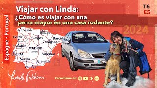 Viajar con Linda: ¿Cómo es viajar con una perra mayor en una casa rodante?