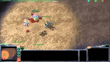 Starcraft II Custom Squad System
