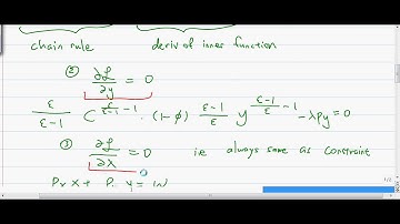 CES Lagrangian