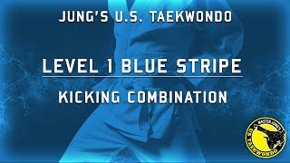Level 1 Kicking Combination