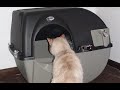 Omega Paw Roll N Clean Self Separating Self Cleaning Litter Box Review