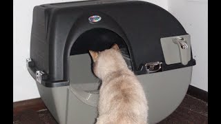 Omega Paw Roll N Clean Self Separating Self Cleaning Litter Box Review