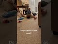 Shorts Best Cute Baby Video Funny Videos Babyooze 029 